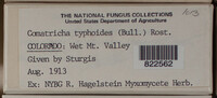 Image Associated With the Occurence